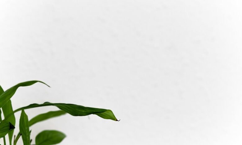 mobilecreativeorg s impact expands